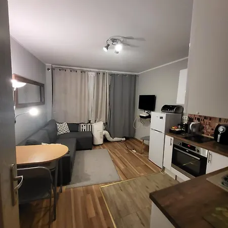 Apartment Chilling By The River *